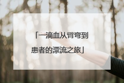 一滴血从臂弯到患者的漂流之旅