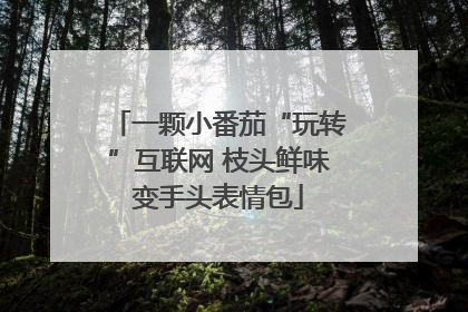 一颗小番茄“玩转”互联网 枝头鲜味变手头表情包