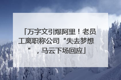 万字文引爆阿里！老员工离职称公司“失去梦想”，马云下场回应