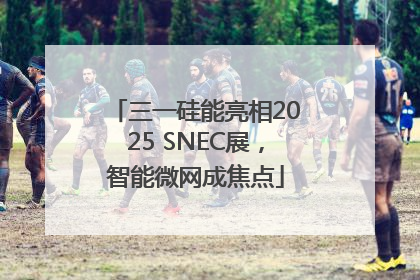 三一硅能亮相2025 SNEC展，智能微网成焦点