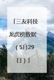 三友科技龙虎榜数据（5月29日）