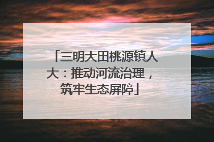 三明大田桃源镇人大：推动河流治理，筑牢生态屏障