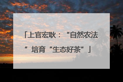 上官宏耿：“自然农法”培育“生态好茶”
