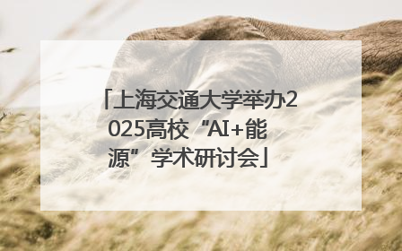 上海交通大学举办2025高校“AI+能源”学术研讨会