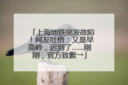 上海地铁突发故障！网友吐槽：又是早高峰，迟到了……刚刚，官方致歉→