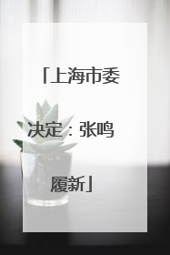 上海市委决定：张鸣履新