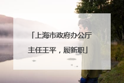 上海市政府办公厅主任王平，履新职