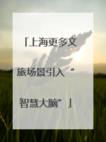 上海更多文旅场景引入“智慧大脑”