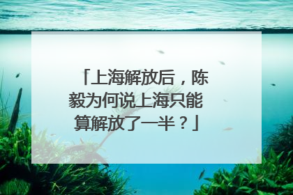 上海解放后，陈毅为何说上海只能算解放了一半？