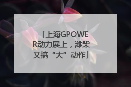 上海GPOWER动力展上，潍柴又搞“大”动作