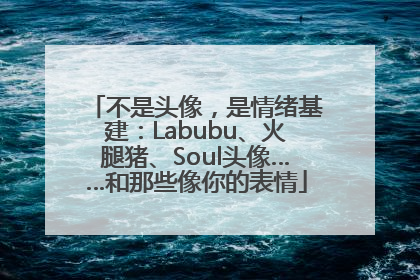 不是头像，是情绪基建：Labubu、火腿猪、Soul头像……和那些像你的表情