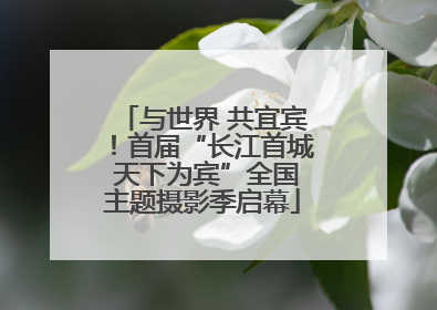 与世界 共宜宾！首届“长江首城 天下为宾”全国主题摄影季启幕