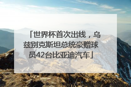 世界杯首次出线，乌兹别克斯坦总统豪赠球员42台比亚迪汽车