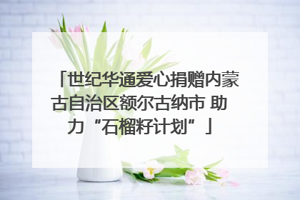 世纪华通爱心捐赠内蒙古自治区额尔古纳市 助力“石榴籽计划”