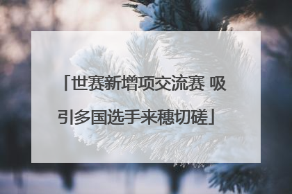 世赛新增项交流赛 吸引多国选手来穗切磋