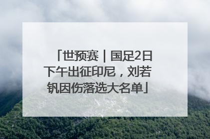 世预赛｜国足2日下午出征印尼，刘若钒因伤落选大名单
