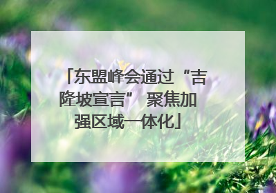 东盟峰会通过“吉隆坡宣言” 聚焦加强区域一体化