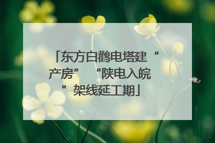 东方白鹳电塔建“产房” “陕电入皖”架线延工期