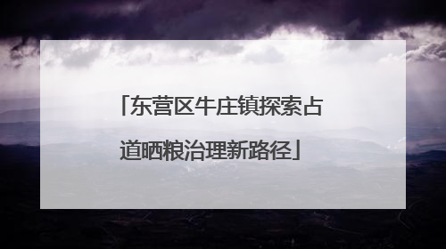 东营区牛庄镇探索占道晒粮治理新路径