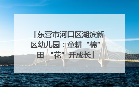 东营市河口区湖滨新区幼儿园：童耕“棉”田 “花”开成长
