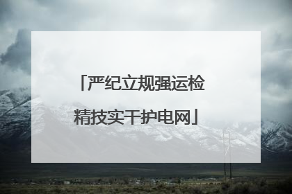 严纪立规强运检 精技实干护电网