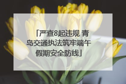 严查8起违规 青岛交通执法筑牢端午假期安全防线