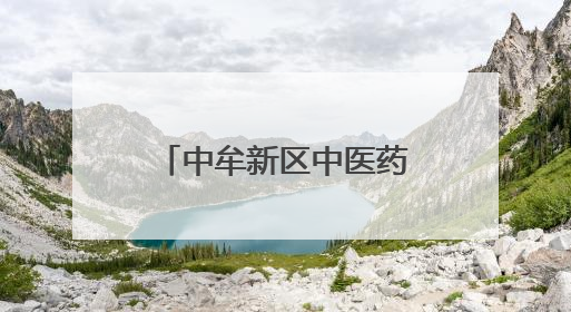 中牟新区中医药文化节启幕！千余名居民“沉浸式”体验中医魅力