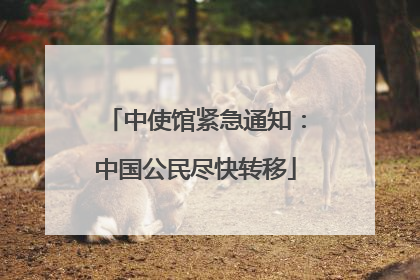 中使馆紧急通知：中国公民尽快转移