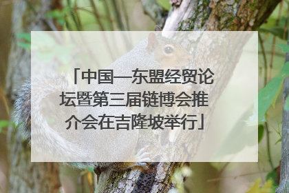 中国—东盟经贸论坛暨第三届链博会推介会在吉隆坡举行