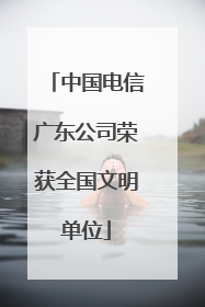 中国电信广东公司荣获全国文明单位