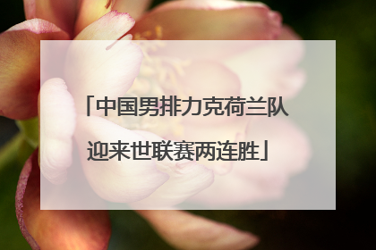中国男排力克荷兰队 迎来世联赛两连胜