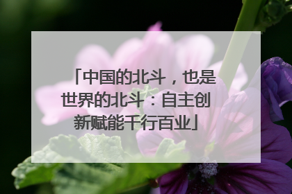 中国的北斗，也是世界的北斗：自主创新赋能千行百业