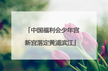 中国福利会少年宫新宫落定黄浦滨江