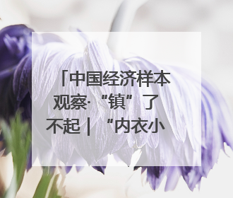 中国经济样本观察·“镇”了不起|“内衣小镇”织出500亿元“里子产业”