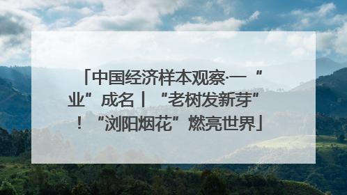 中国经济样本观察·一“业”成名丨“老树发新芽”！“浏阳烟花”燃亮世界