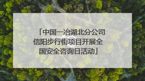 中国一冶湖北分公司信阳步行街项目开展全国安全咨询日活动