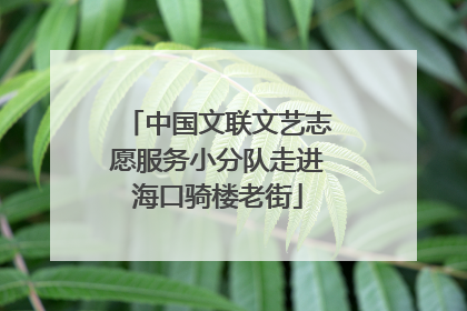 中国文联文艺志愿服务小分队走进海口骑楼老街