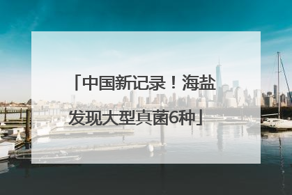中国新记录！海盐发现大型真菌6种