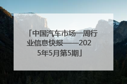 中国汽车市场一周行业信息快报——2025年5月第5期
