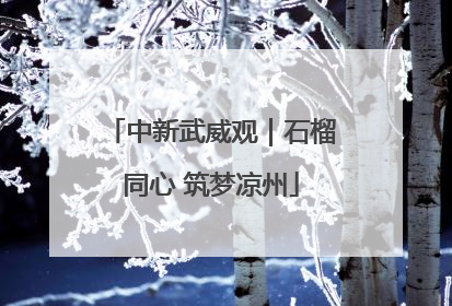 中新武威观｜石榴同心 筑梦凉州