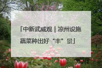 中新武威观｜凉州设施蔬菜种出好“丰”景