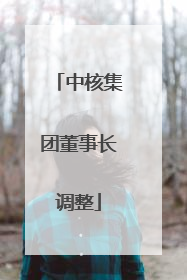 中核集团董事长调整