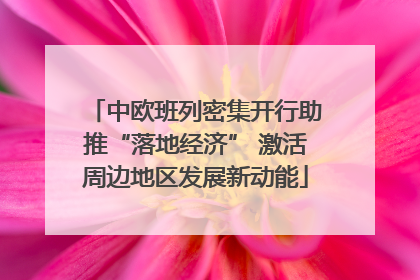 中欧班列密集开行助推“落地经济” 激活周边地区发展新动能