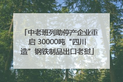 中老班列助停产企业重启 30000吨“四川造”钢铁制品出口老挝