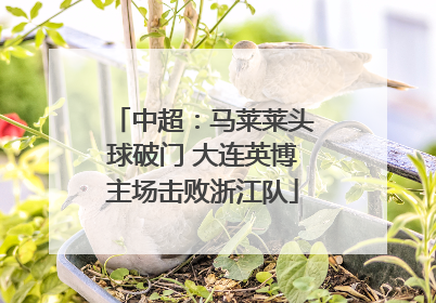 中超：马莱莱头球破门 大连英博主场击败浙江队