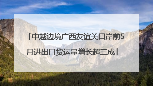 中越边境广西友谊关口岸前5月进出口货运量增长超三成