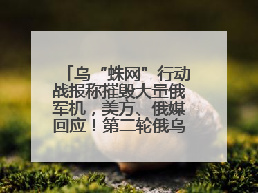 乌“蛛网”行动战报称摧毁大量俄军机，美方、俄媒回应！第二轮俄乌谈判在即，乌克兰提出三大诉求