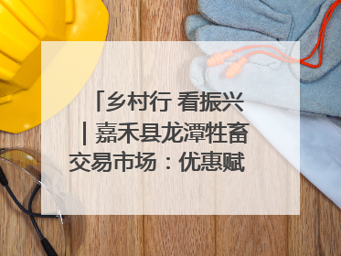 乡村行 看振兴｜嘉禾县龙潭牲畜交易市场：优惠赋能促交易 乡村振兴添动能