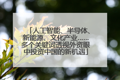 人工智能、半导体、新能源、文化产业……多个关键词透视外资眼中投资中国的新机遇