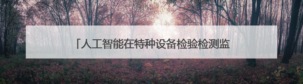 人工智能在特种设备检验检测监测领域应用交流会在敦煌举办